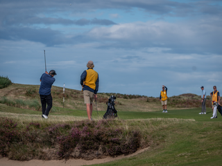 Course Guides